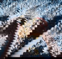 Mill  Bakery - Hotel Accommodation