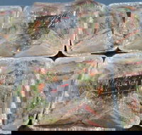 Red Fox Kafe - Hotel Accommodation