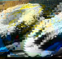 The Diver Cafe - Hotel Accommodation