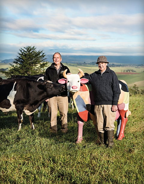 Ashgrove Farm Cheese - Hotel Accommodation 1