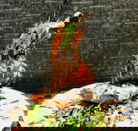 Cafe Bear and Scoobs - Hotel Accommodation