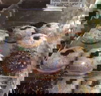 Gaffney Place - Hotel Accommodation