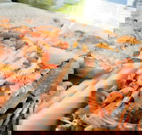 Rufus King Seafoods Amity Point - Hotel Accommodation