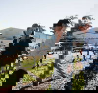 Warrabilla Wines - Hotel Accommodation