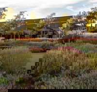 Barossa Valley Estate Cellar Door  Gardens - Hotel Accommodation