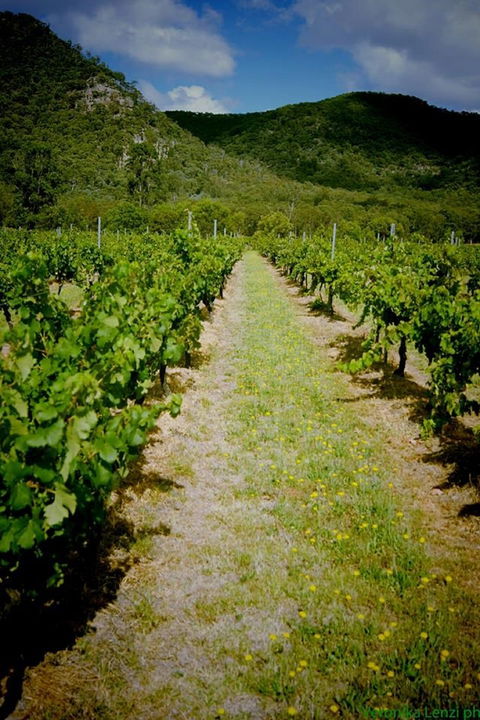 Gartelmann Wines - Hotel Accommodation 0