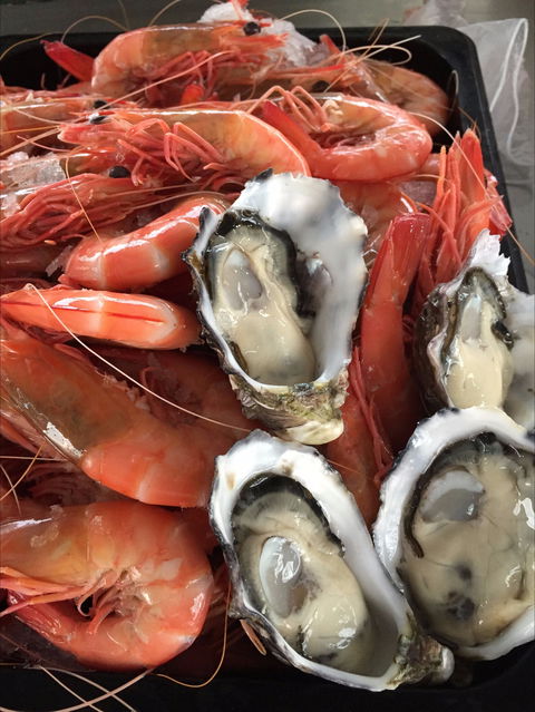 Mi Shells Seafood - Hotel Accommodation 0