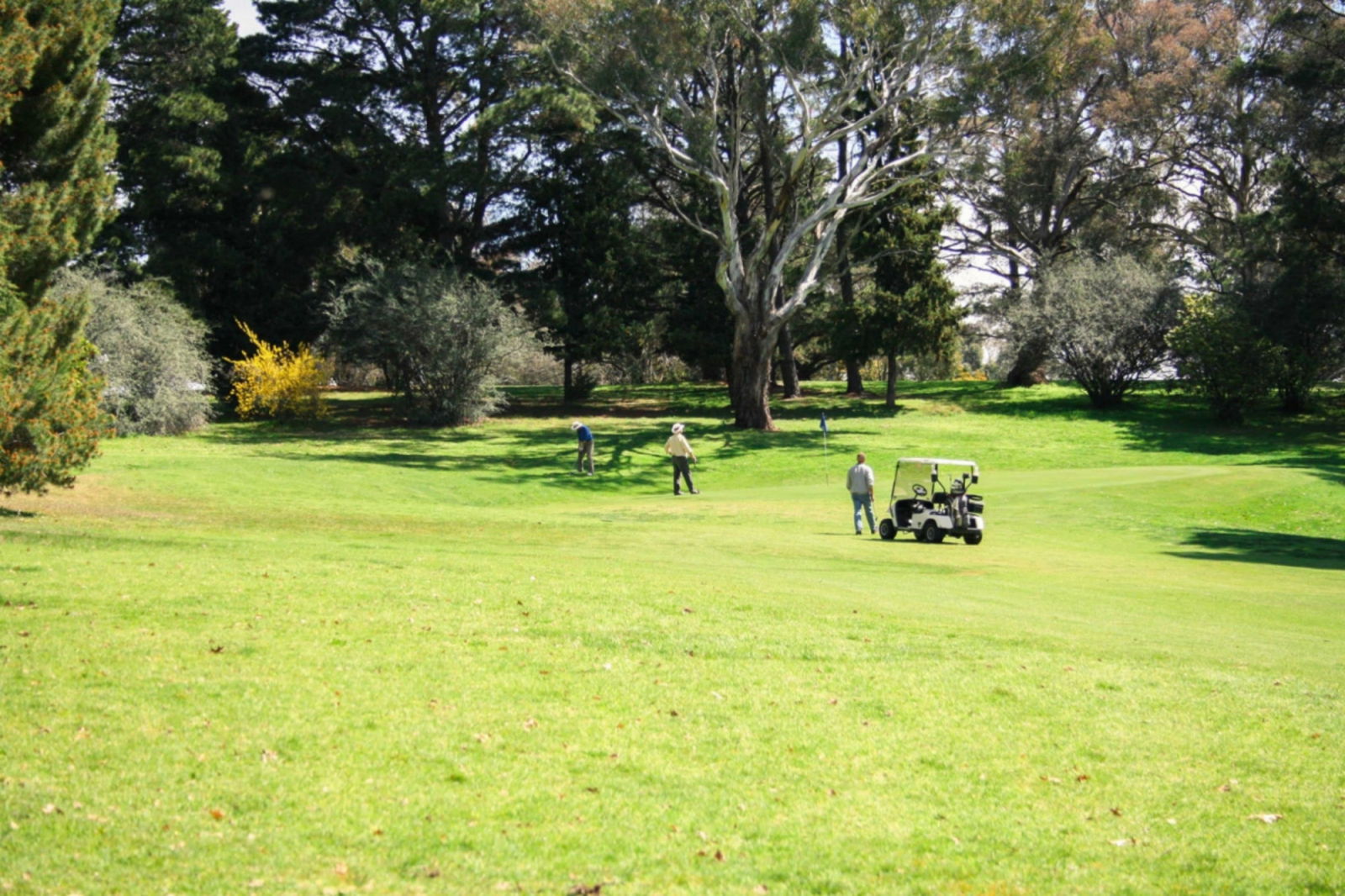 Berremangra ACT Hotel Accommodation