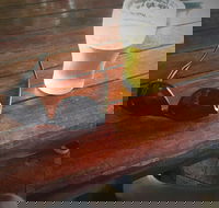 Samford Valley Hotel - Hotel Accommodation