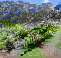 Woongooroo Estate Winery - Hotel Accommodation
