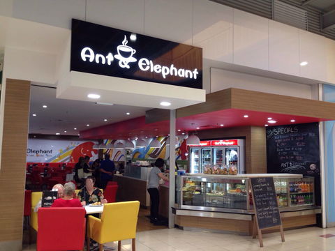 Ant & Elephant - Hotel Accommodation 0