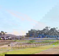 Blacklea Vineyard and Olive Grove - Hotel Accommodation