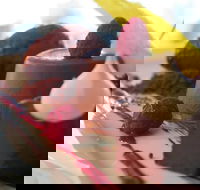 Oskars On Burleigh - Hotel Accommodation