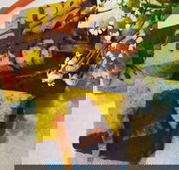 Social Brew - Hotel Accommodation