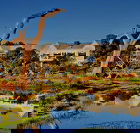 The Minya Vineyard  Winery - Hotel Accommodation