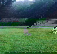 Goat Hill Farm - Hotel Accommodation