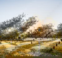 Guneemooroo Estate - Hotel Accommodation