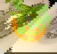 Harvey's Bar - Hotel Accommodation