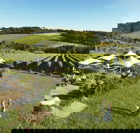 Montalto - Hotel Accommodation