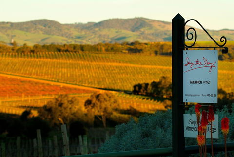 Seize The Day Wines - Hotel Accommodation 0