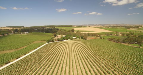 Seize The Day Wines - Hotel Accommodation 1