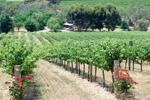 Seize The Day Wines - Hotel Accommodation 2