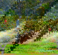 The Red Apron Gourmet Kitchen - Hotel Accommodation