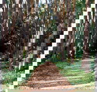 The Field of Dreams Cafe - Hotel Accommodation