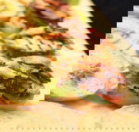 Urban Burger - Hotel Accommodation