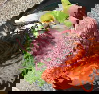 Cafe Rhubaba - Hotel Accommodation