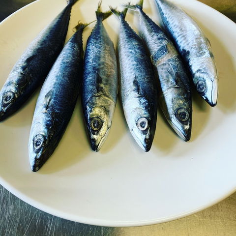 Miriams Restaurant - Hotel Accommodation 2