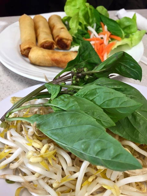 PHO 234 - Hotel Accommodation 0