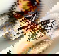 Portuguese Delights - Hotel Accommodation