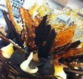 Daily Dose Cafe Wine Bar - Hotel Accommodation
