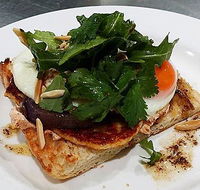 The Teal Turtle Cafe - Hotel Accommodation