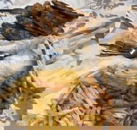 Miami Fish and Chip Shack - Hotel Accommodation