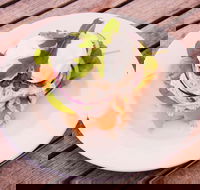 Raw Energy - Toowoomba - Hotel Accommodation