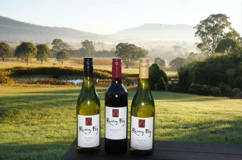 Rusty Fig Wines - Hotel Accommodation 0