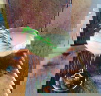 Wildwater Grill - Hotel Accommodation