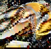 Cafe 3847 - Hotel Accommodation