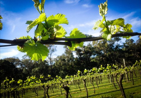 Michael Unwin Wines - Hotel Accommodation 1