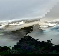 The Mushroom at Waratah - Hotel Accommodation