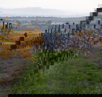 Barwon Ridge Wines - Hotel Accommodation