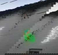 Jessie's Girl - Hotel Accommodation