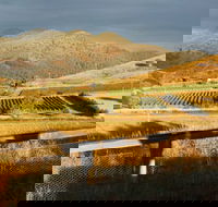 Optimiste Wines - Hotel Accommodation