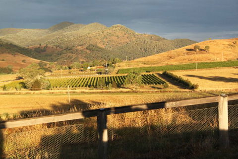 Optimiste Wines - Hotel Accommodation 0