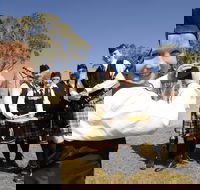 Peppermints Coffee Lounge - Hotel Accommodation