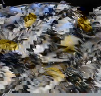 View 42o - Hotel Accommodation