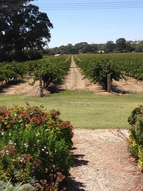 Willows Vineyard - Hotel Accommodation 2