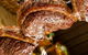 Espetus Churrascaria - thumb 0